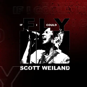 If I Could Fly by Scott Weiland - album cover