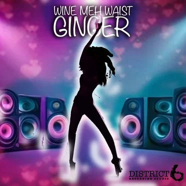 Wine Meh Waist by Ginger - album cover