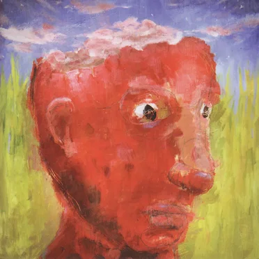 Mander Salis by The Snake the Cross the Crown - album cover