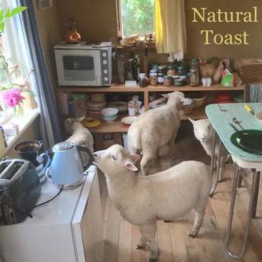 Natural Toast by Fazed on a Pony - album cover