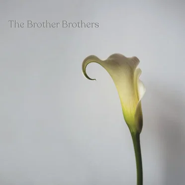 Calla Lily by The Brother Brothers - album cover
