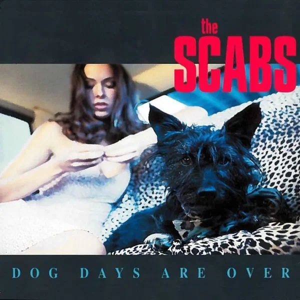 Dog Days Are Over
