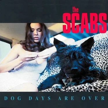 Dog Days Are Over