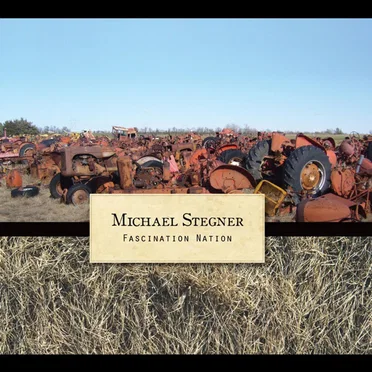 Fascination Nation by Michael Stegner - album cover