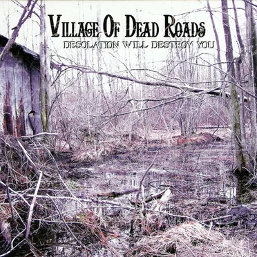 Desolation Will Destroy You by Village of Dead Roads - album cover