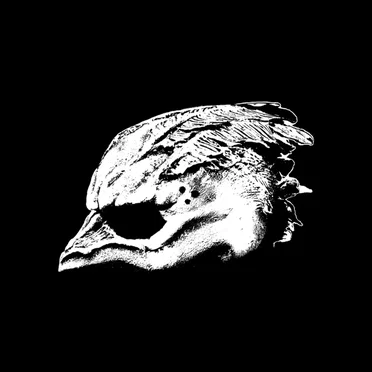 The Fogger by Legend of the Seagullmen - album cover