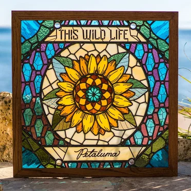 Petaluma by This Wild Life - album cover
