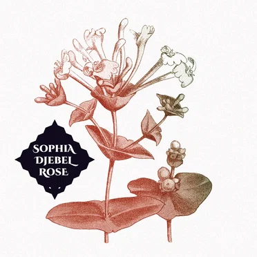 Sophia Djebel Rose