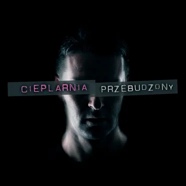 Przebudzony