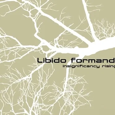 Insignificancy Rising by Libido Formandi - album cover