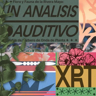 xrt