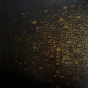 Arkha Sva / Black Stench