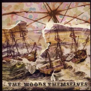 (C'mon) Do The Beach Thing by The Woods Themselves - album cover