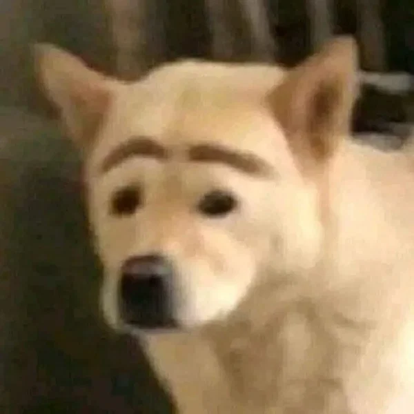 What Da Dawg Doin?