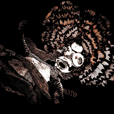 Aikamatkustaja by Con Trane - album cover