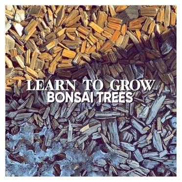 Learn to Grow by Bonsai Trees - album cover