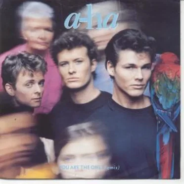 You Are the One (remix)