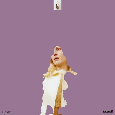 Animal by LUMP - album cover