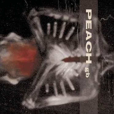 Giving Birth to a Stone by Peach - album cover