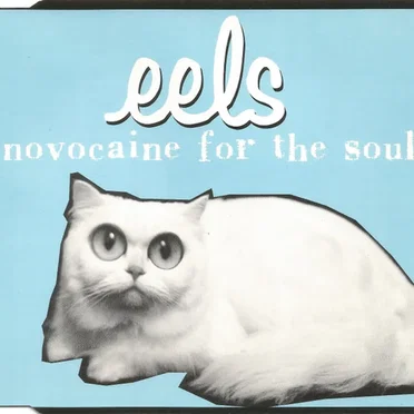 Novocaine for the Soul