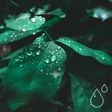 Hydrometry