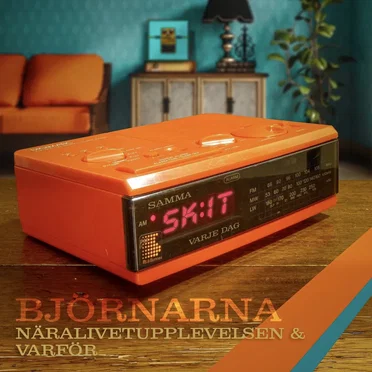 Näralivetupplevelsen/Varför