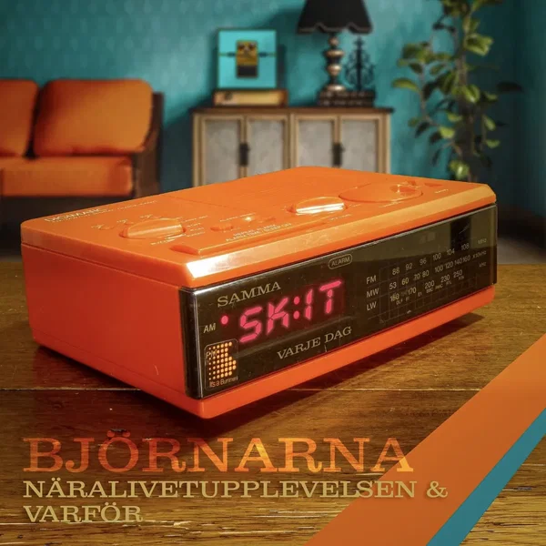 Näralivetupplevelsen/Varför