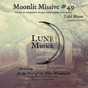 Moonlit Missive #49