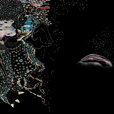 Numbers by Comfort Creature - album cover