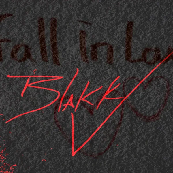 Falling In Love (RMX)
