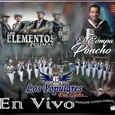 Los Elementos de Culiacán