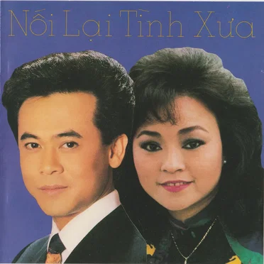 Tình khúc Trần Thiện Thanh (Làng Văn CD 29) by Various Artists - album cover