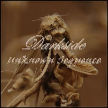 Unknown Sequence