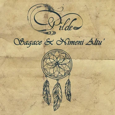 Pilde by Sagace - album cover