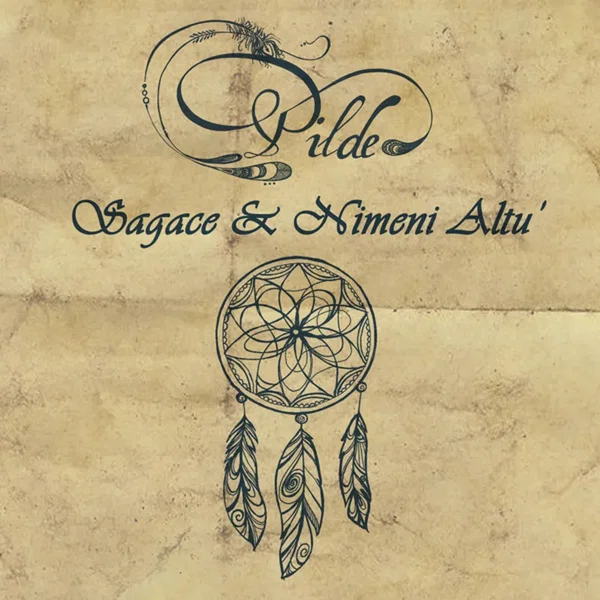 Pilde