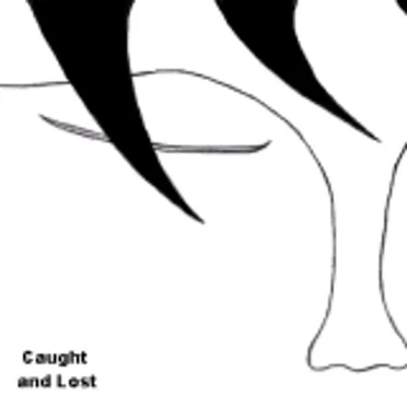 Caught and Lost by Loss of a Child - album cover