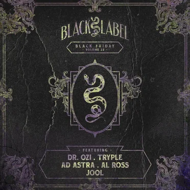 Black Friday, Vol. 22 by Various Artists - album cover