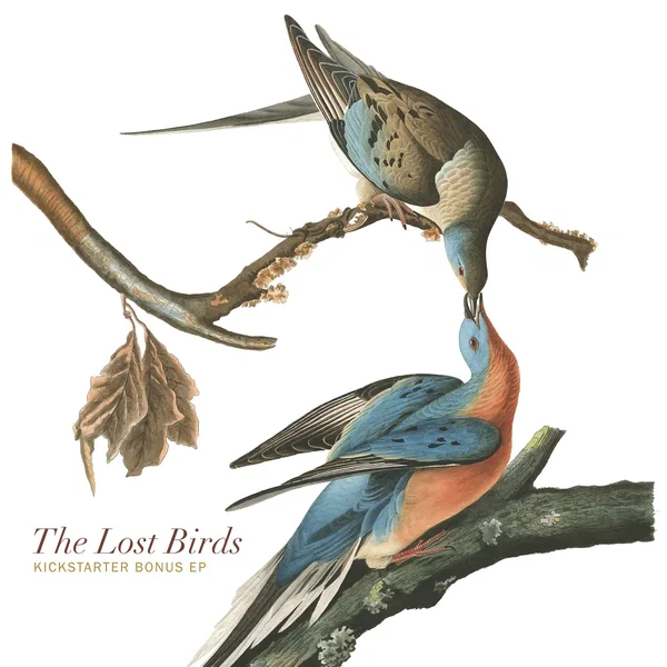 The Lost Birds (Bonus EP)