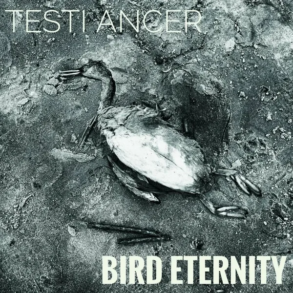 Bird Eternity