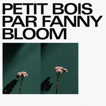 Petit Bois by Fanny Bloom - album cover
