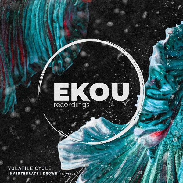 Invertebrate / Drown