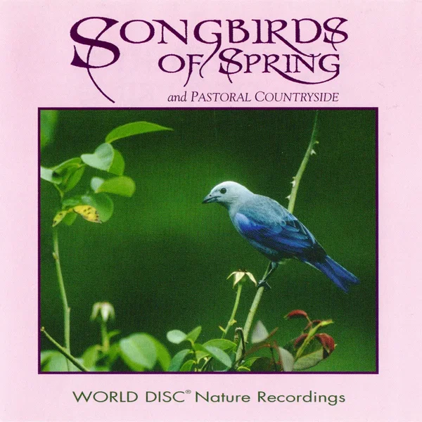 Songbirds of Spring and Pastoral Countryside