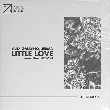 Little Love (Pres. Lil' Love) (The Remixes)