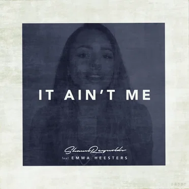 It Ain't Me (remix)