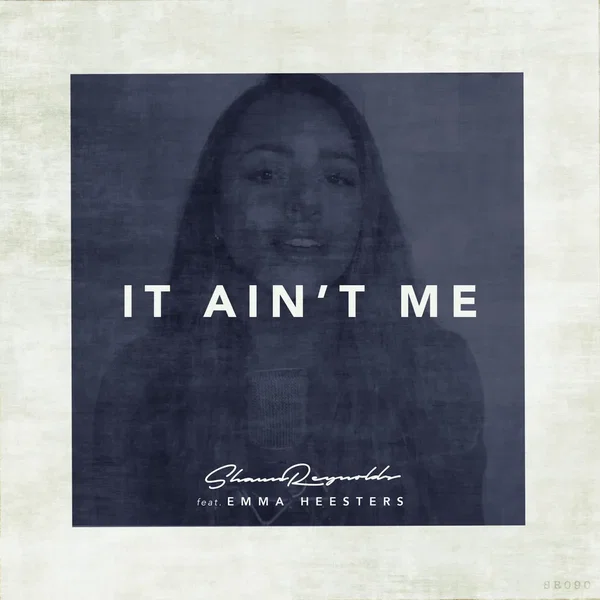 It Ain't Me (remix)