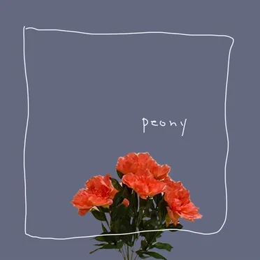 peony by POLY - album cover