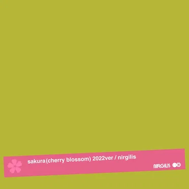 sakura(cherry blossom ) (2022ver.)
