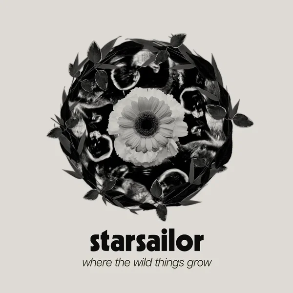 Where the Wild Things Grow