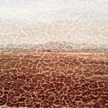 Spectate No More by Victim of the Ambient - album cover