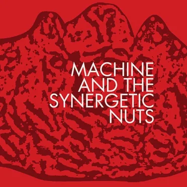 Machine And The Synergetic Nuts by Machine and the Synergetic Nuts - album cover